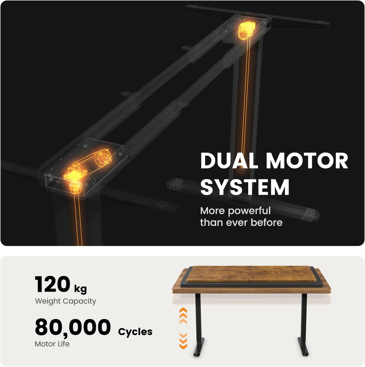 ErGear Standing Desk Frame, Dual Motor, 120kg, 4 Memory