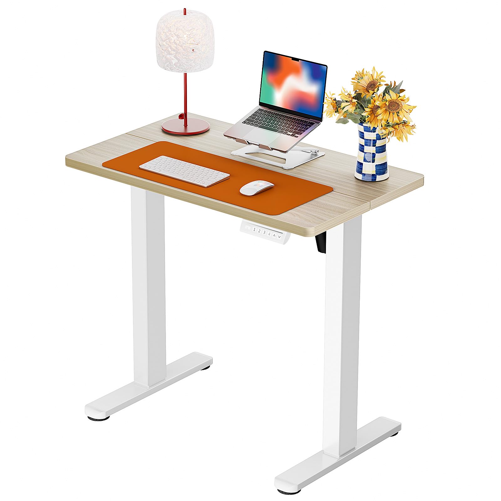 ErGear 48 X 24 Inch Height Adjustable Electric Standing Desk, Black