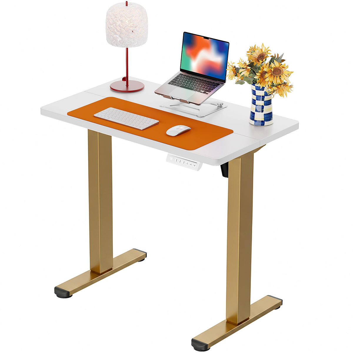 ErGear 48 X 24 Inch Height Adjustable Electric Standing Desk, Black