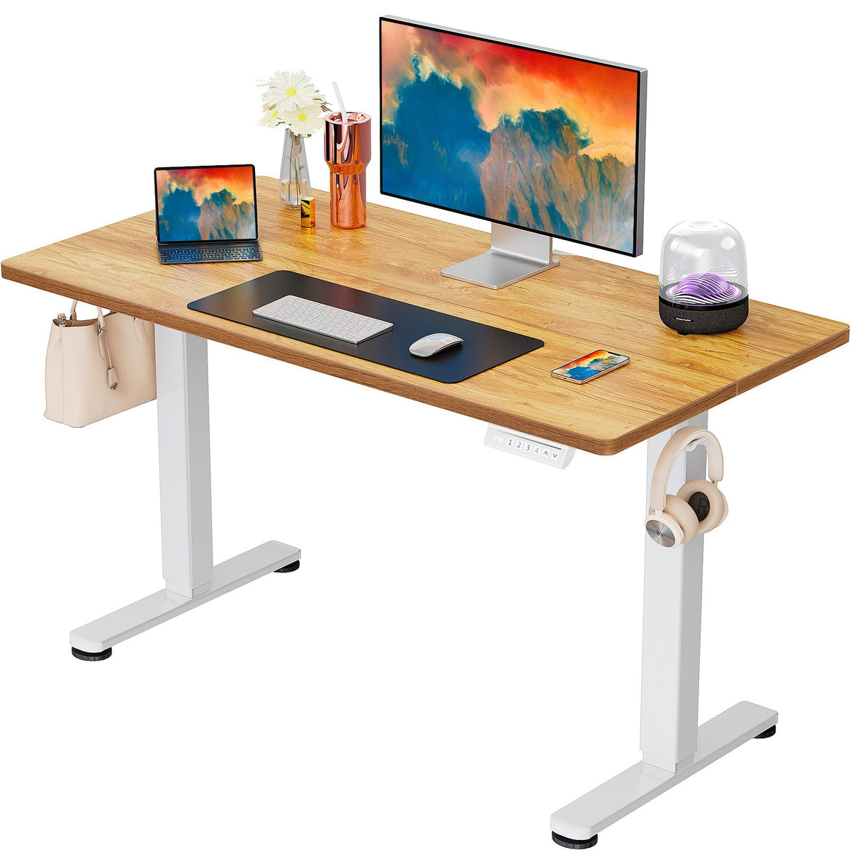 ErGear 48 X 24 Inch Height Adjustable Electric Standing Desk, Black