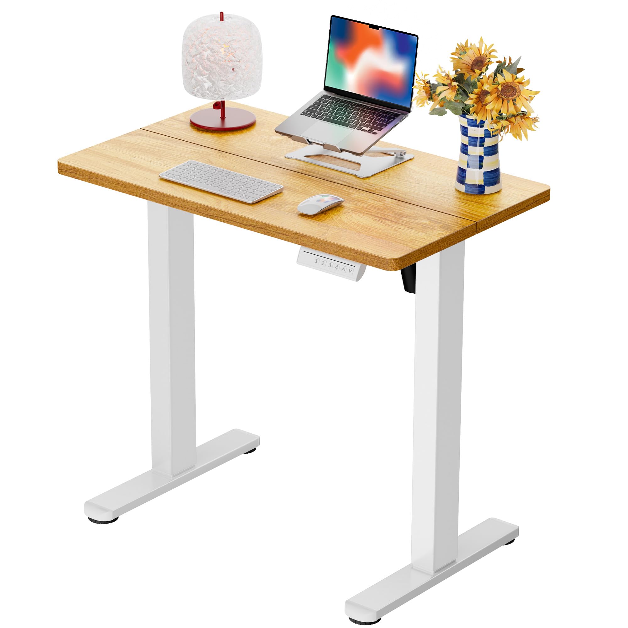 ErGear 48 X 24 Inch Height Adjustable Electric Standing Desk, Black