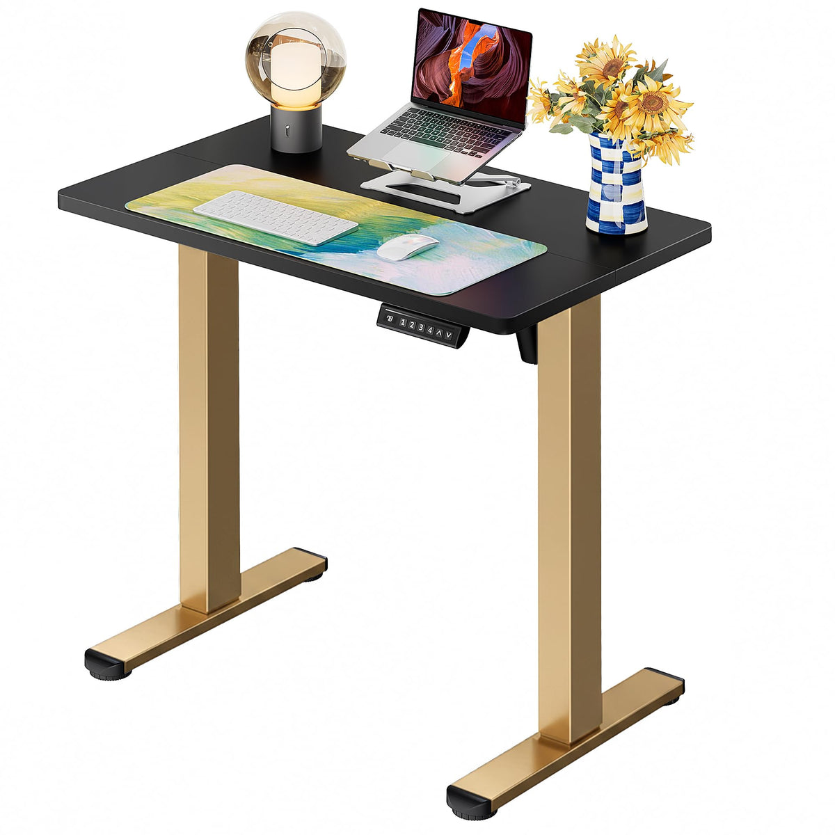 ErGear 48 X 24 Inch Height Adjustable Electric Standing Desk, Black