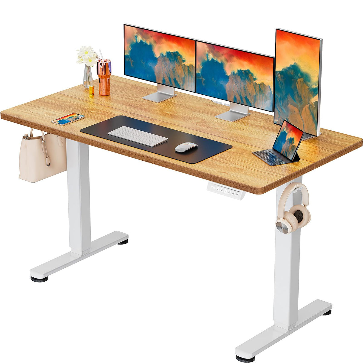 ErGear 48 X 24 Inch Height Adjustable Electric Standing Desk, Black