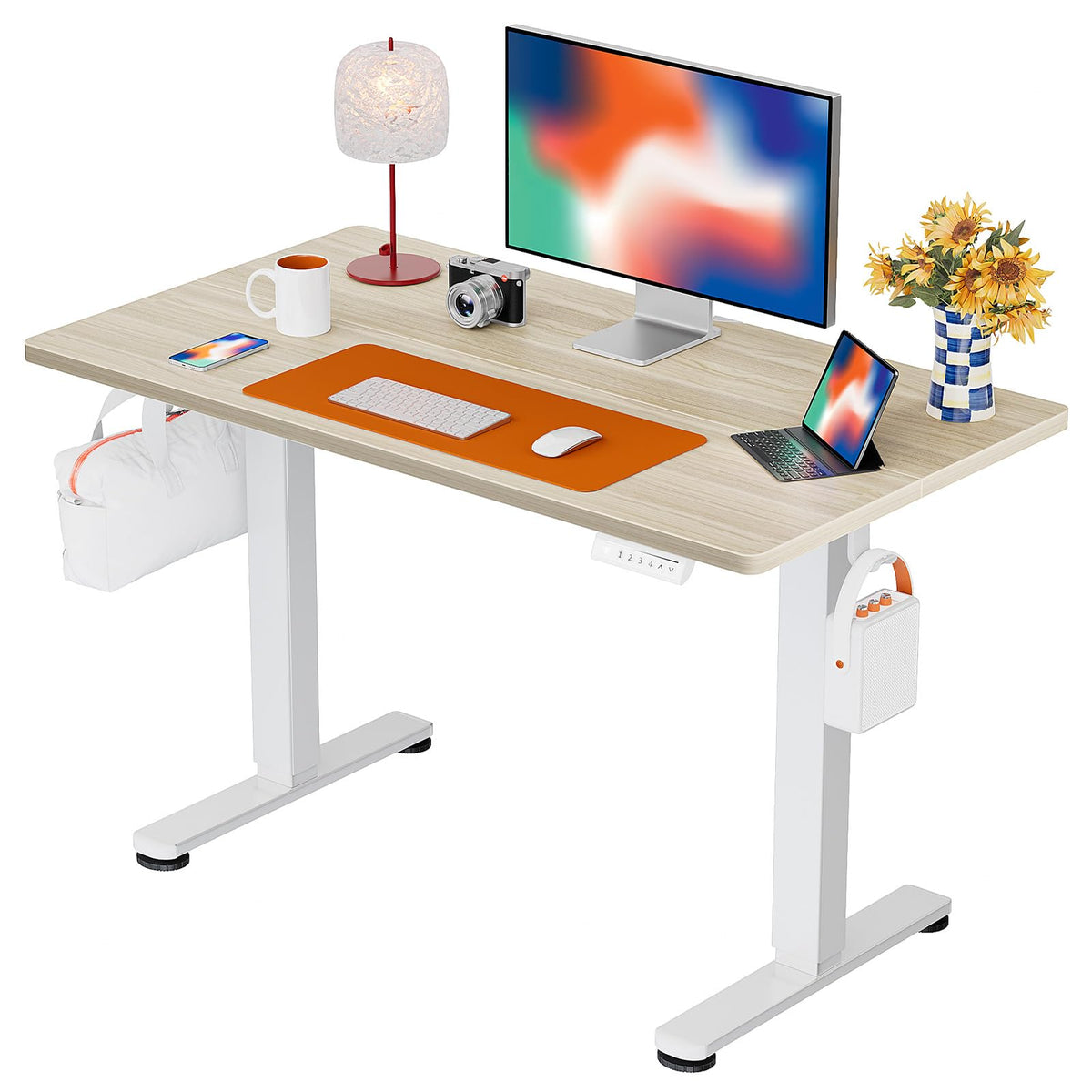 ErGear 48 X 24 Inch Height Adjustable Electric Standing Desk, Black