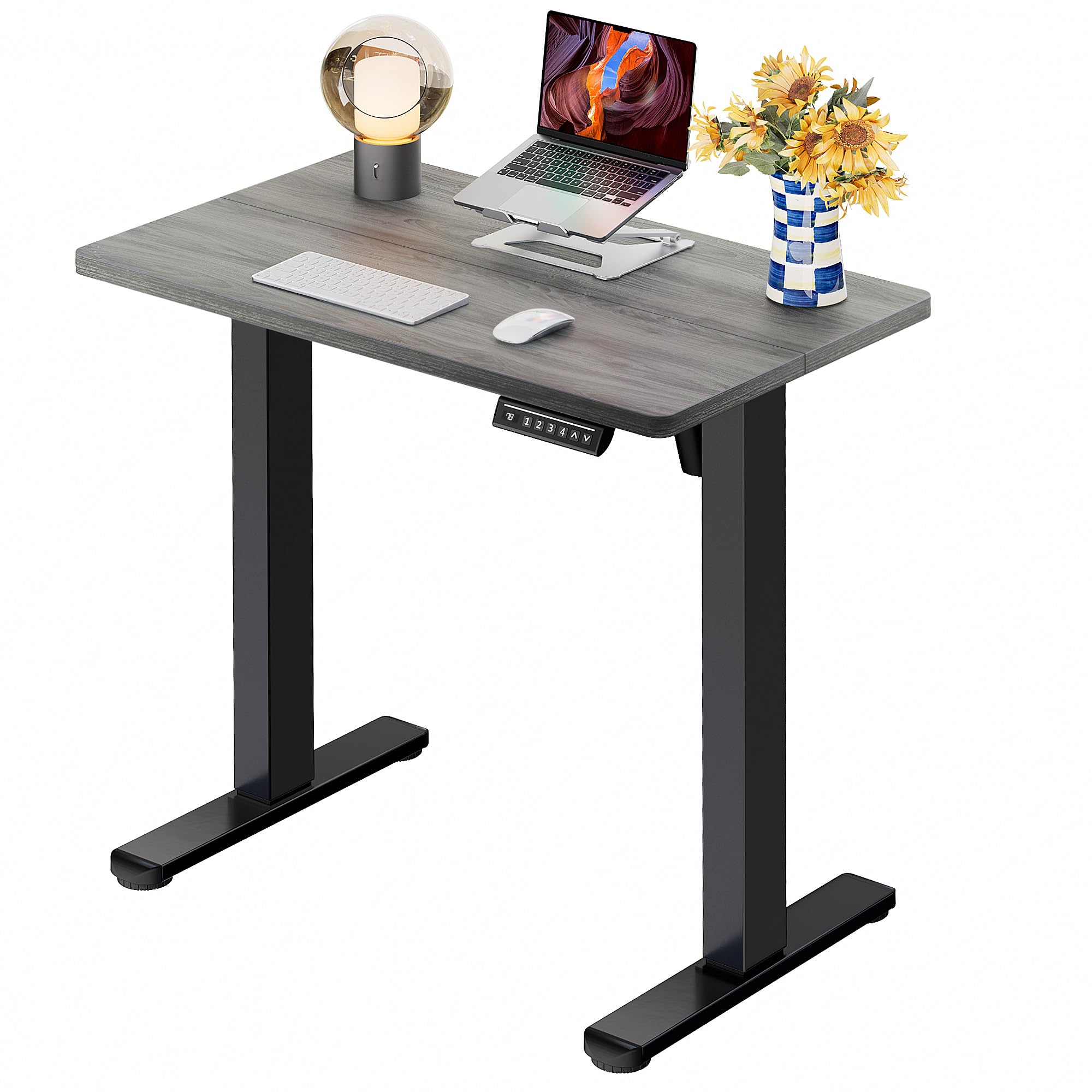 ErGear 48 X 24 Inch Height Adjustable Electric Standing Desk, Black
