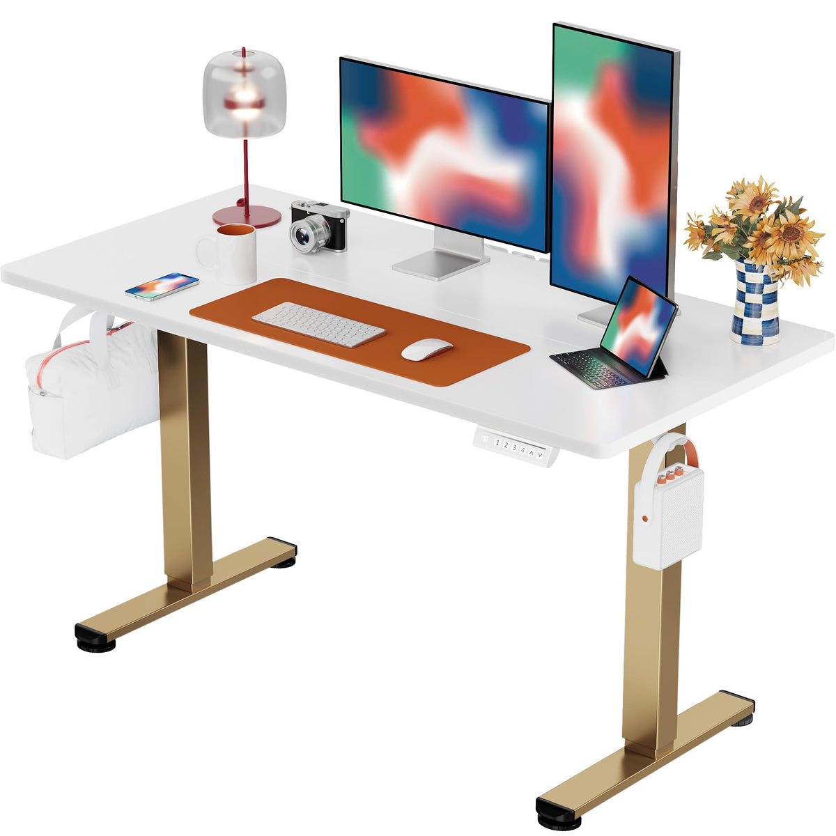 ErGear 48 X 24 Inch Height Adjustable Electric Standing Desk, Black