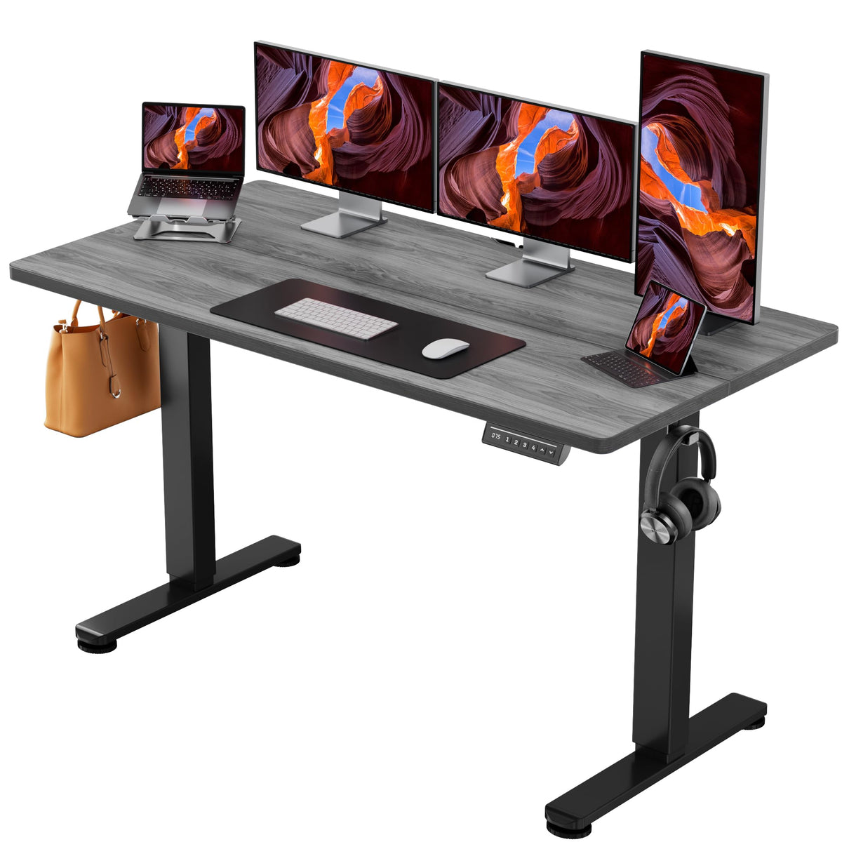 ErGear 48 X 24 Inch Height Adjustable Electric Standing Desk, Black