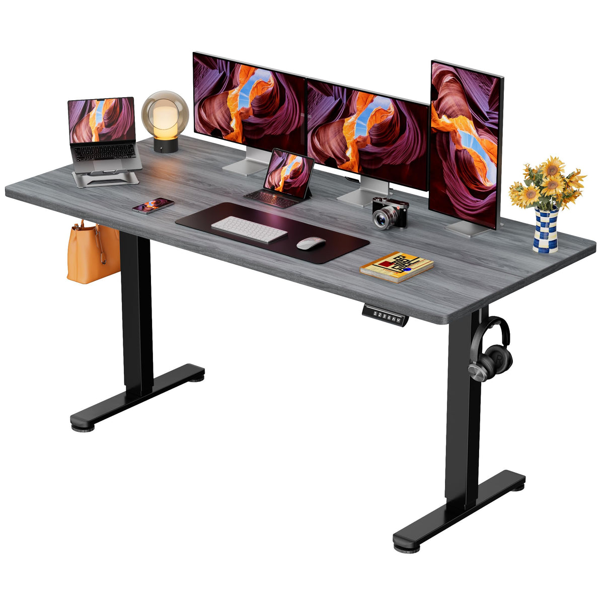 ErGear 48 X 24 Inch Height Adjustable Electric Standing Desk, Black