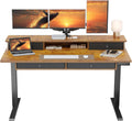 ErGear 55 X 30 Inch Electric Standing Desk with 4 Drawers, Height Adjustable Desk with Storage, C-Clamp Mount Compatible, Home Office Table with Cable Management Tray, Vintage Brown - 55 X 30 Inch