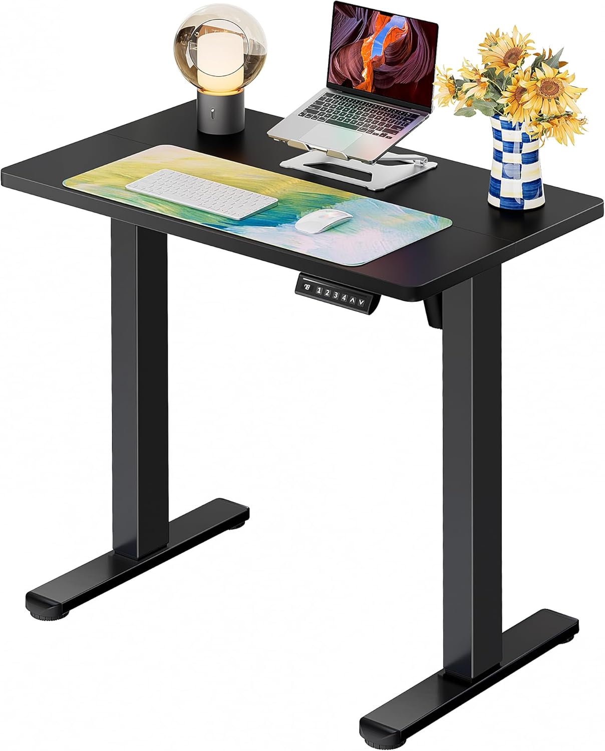 ErGear Height Adjustable Electric Standing Desk, 32 x 19 Inches Sit Stand up Desk, Memory Computer Home Office Desk, Black - White