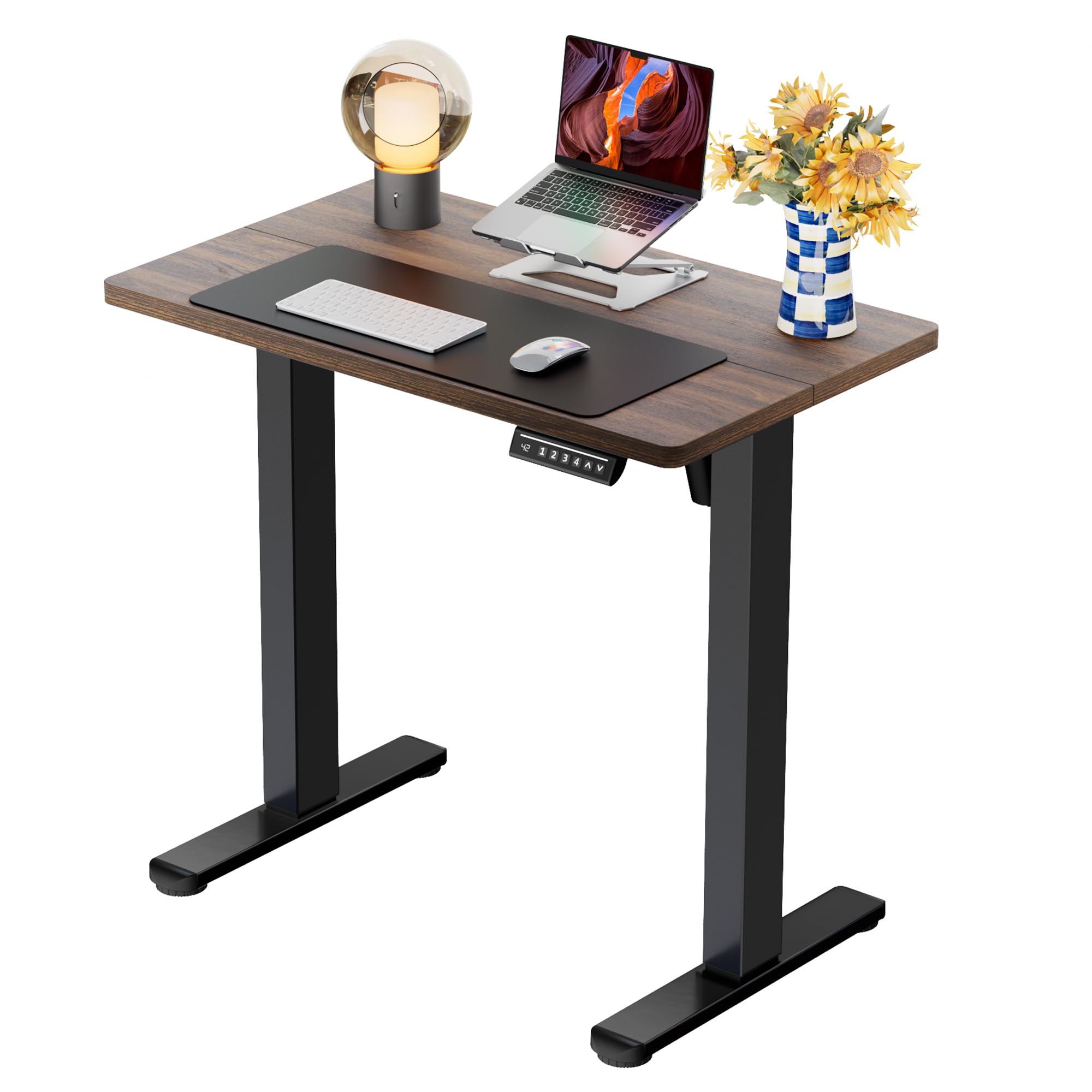 ErGear Height Adjustable Electric Standing Desk, 63 x 28 Inches Sit Stand up Desk, Memory Computer Home Office Desk, Black -