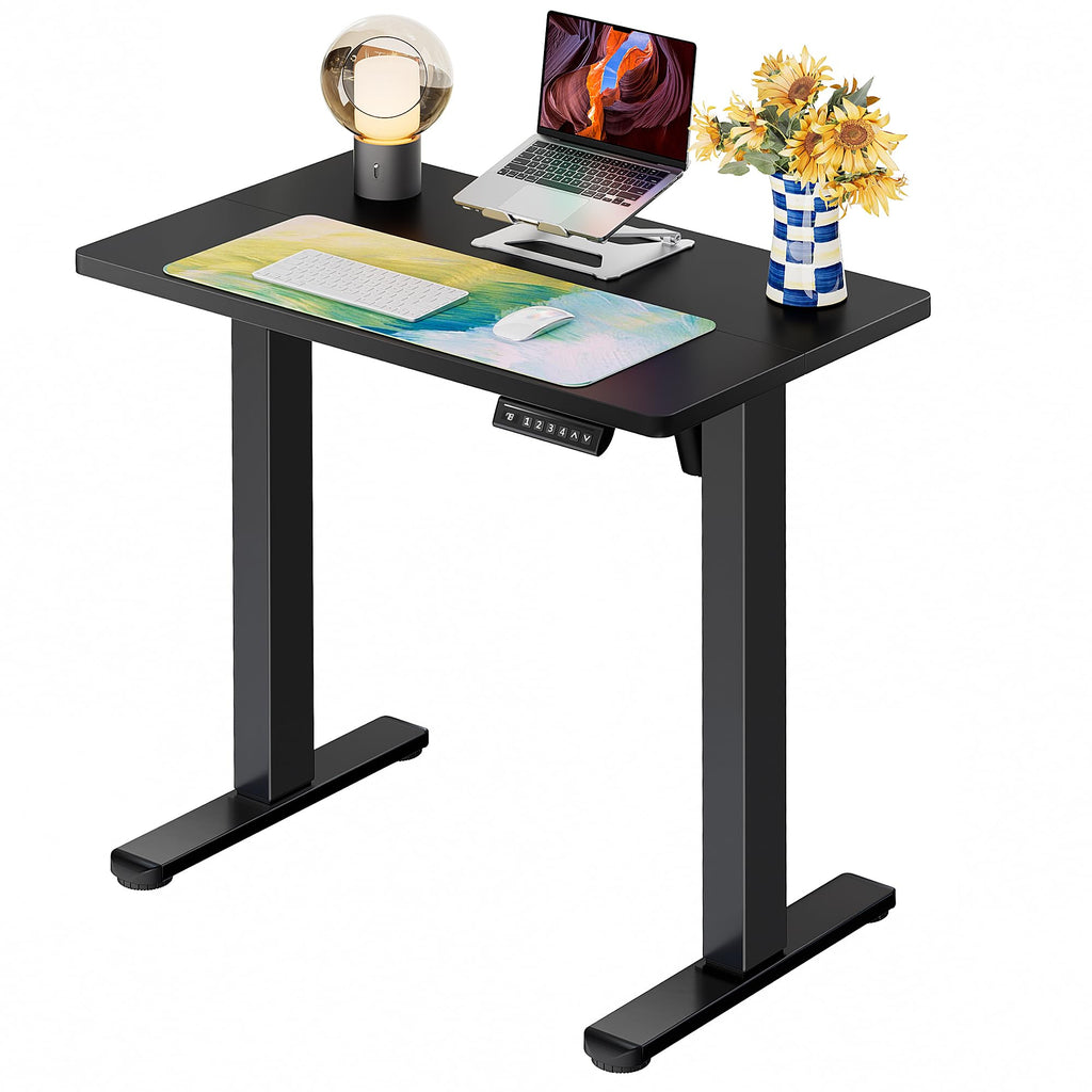 ErGear Height Adjustable Electric Standing Desk, 63 x 28 Inches Sit Stand up Desk, Memory Computer Home Office Desk, Black -