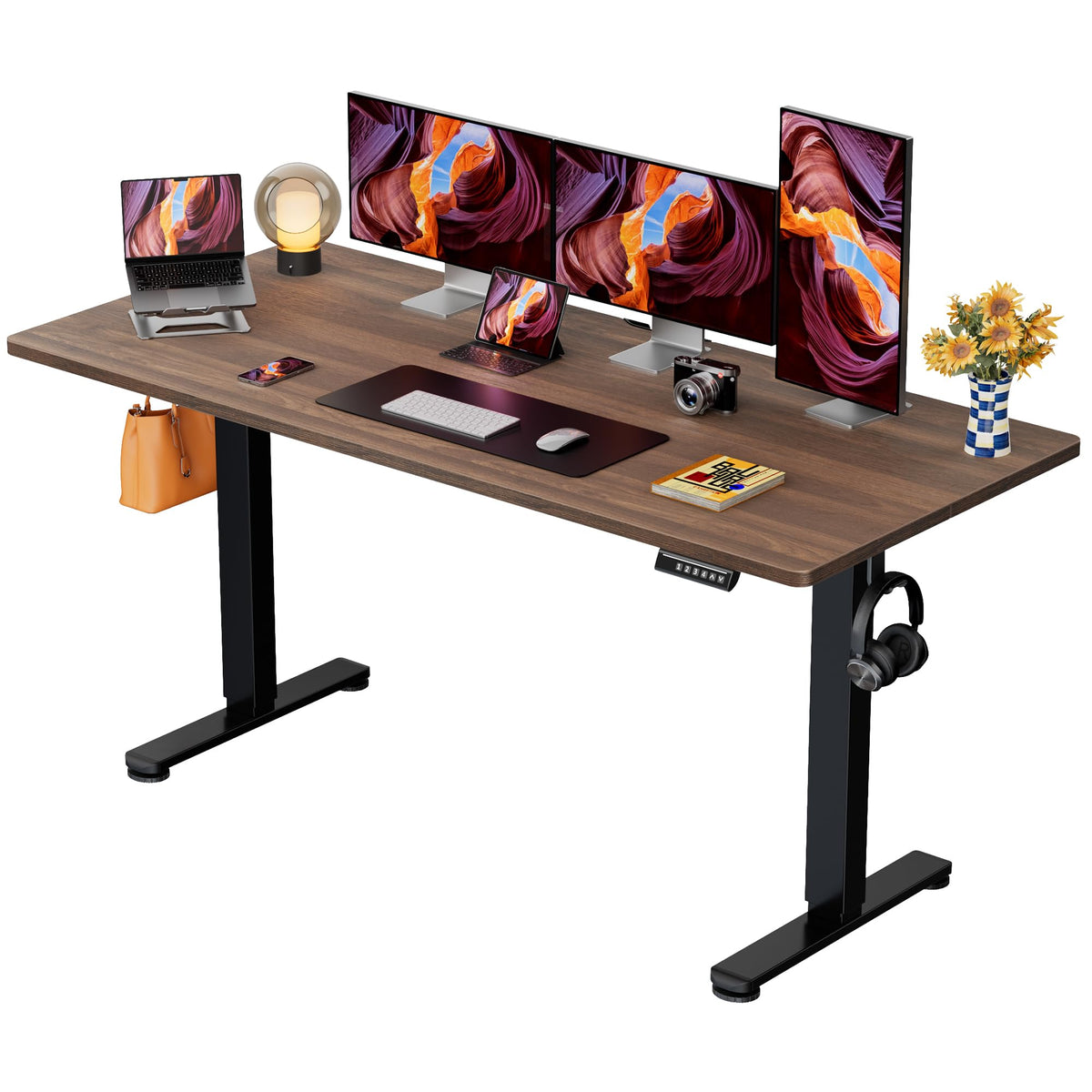 ErGear Height Adjustable Electric Standing Desk, 63 x 28 Inches Sit Stand up Desk, Memory Computer Home Office Desk, Black -