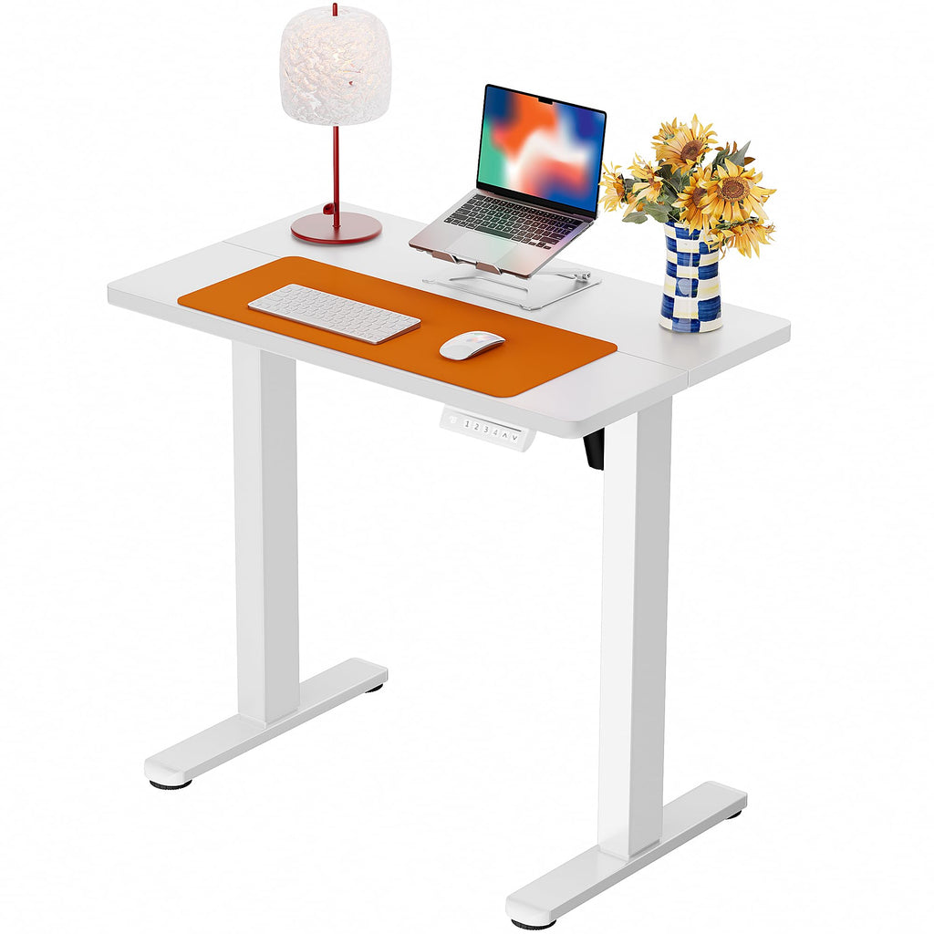ErGear Height Adjustable Electric Standing Desk, 63 x 28 Inches Sit Stand up Desk, Memory Computer Home Office Desk, Black -