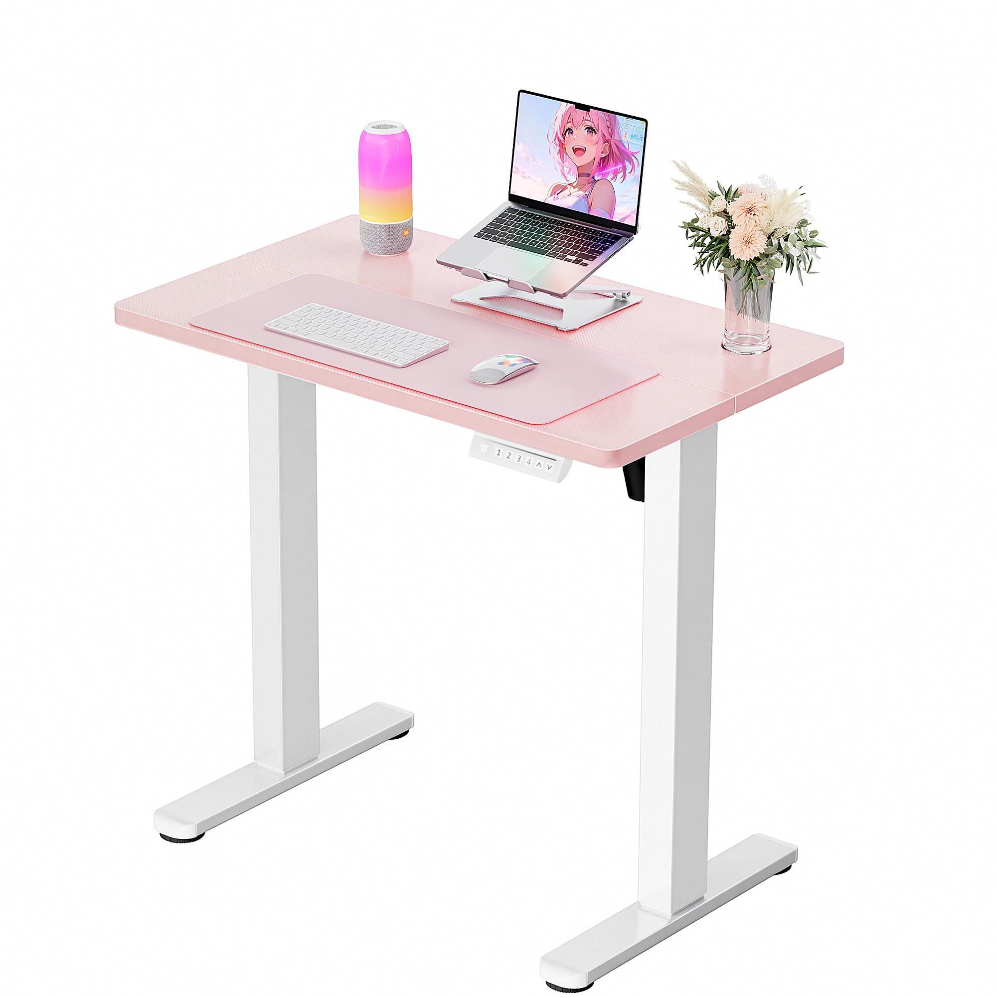 ErGear Height Adjustable Electric Standing Desk, 63 x 28 Inches Sit Stand up Desk, Memory Computer Home Office Desk, Black -
