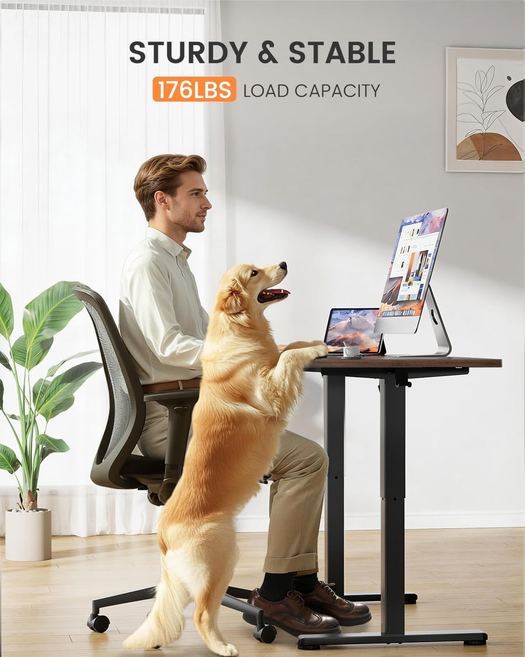 ErGear Low Height Adjustable Desk, Lifts 18.9-28.4 Inches, 35 X 20 Inches Electric Standing Desk for Kids, 4 Height Memory Settings & Storage Hooks, Home Office Computer Table & Study Desk, Walnut - 35 X 20 Inch