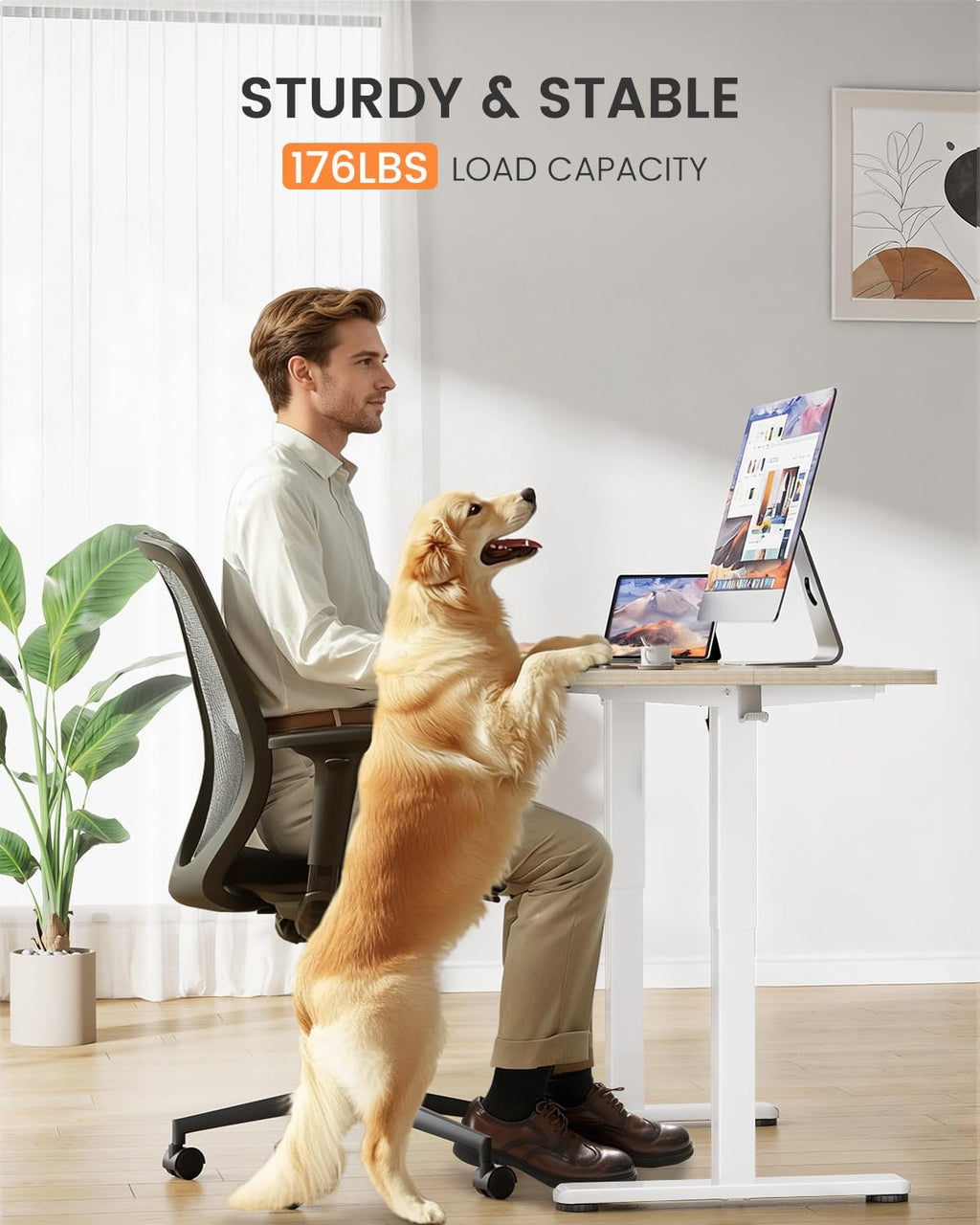 ErGear Low Height Adjustable Desk, Lifts 18.9-28.4 Inches, 35 X 20 Inches Electric Standing Desk for Kids, 4 Height Memory Settings & Storage Hooks, Home Office Computer Table & Study Desk, Natural -