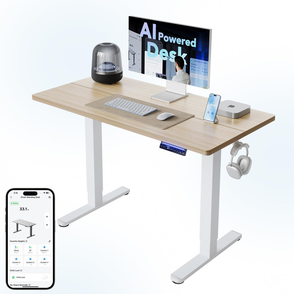 HUANUO Electric Standing Desk, 40 x 24 Inch Height Adjustable Computer Desk with Storage Bag, 4 Height Memory Settings, Sit Stand Up Desk for Home Office, Black - 40" x 24"