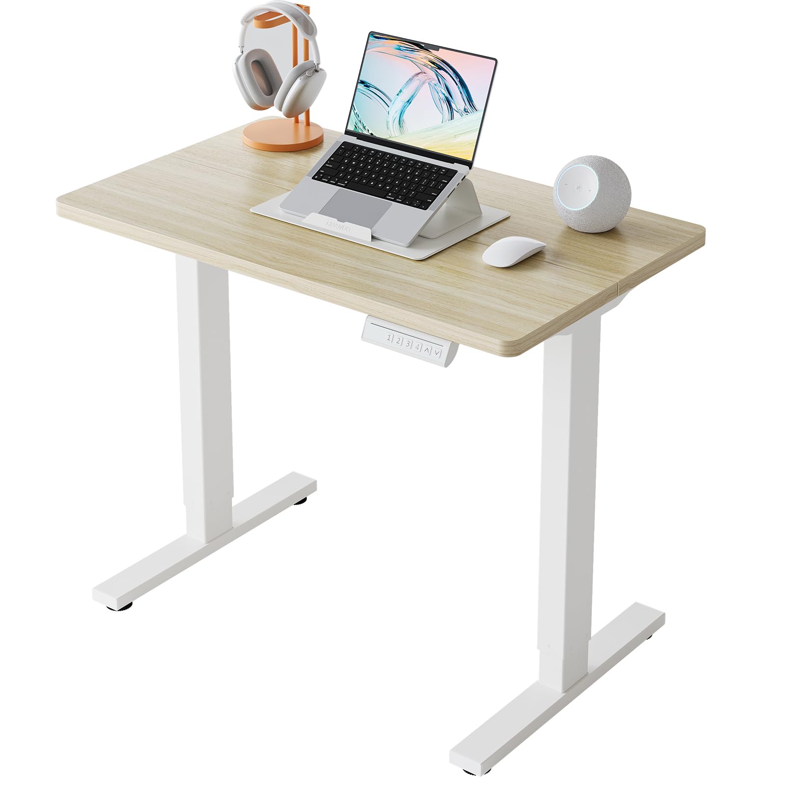 HUANUO Electric Standing Desk Adjustable Height, 4 Memory Height Settings, Sit Stand Up Desk for Home Office & Computer Workstation, White -